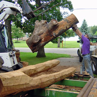 Loading Wood