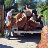 Loading Wood